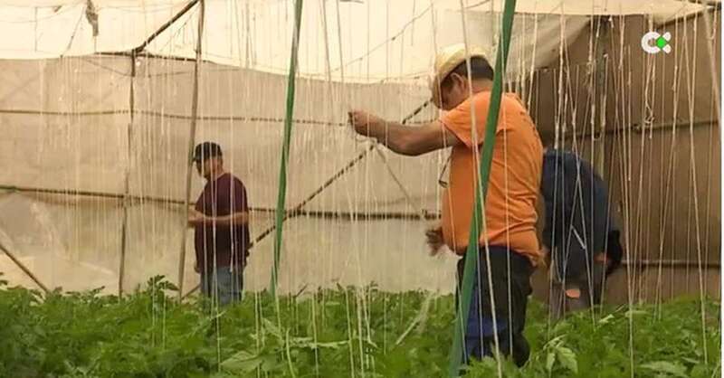 Finca El Viso/Fotograma de RTVC.